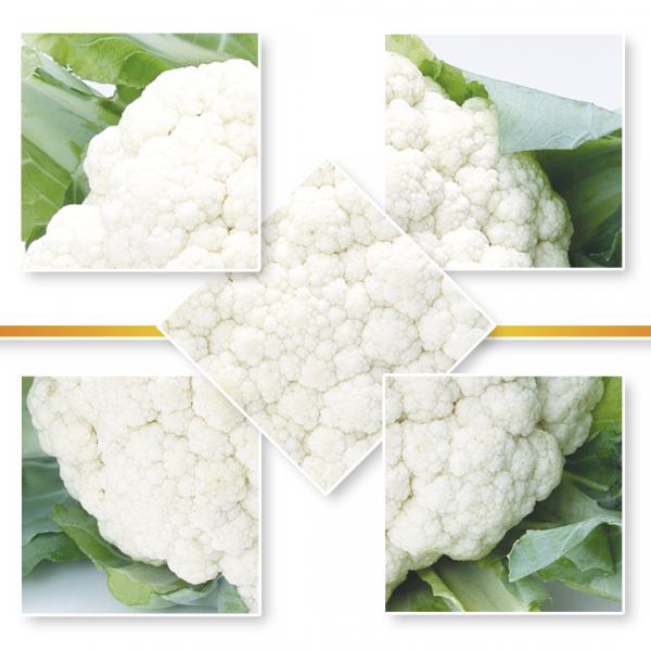 CAULIFLOWER SEED