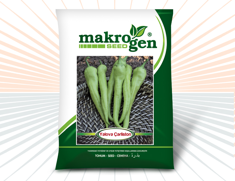 Pepper > YALOVA CARLISTON