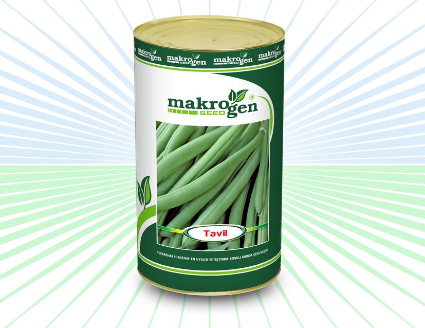 Fasulye > TAVİL