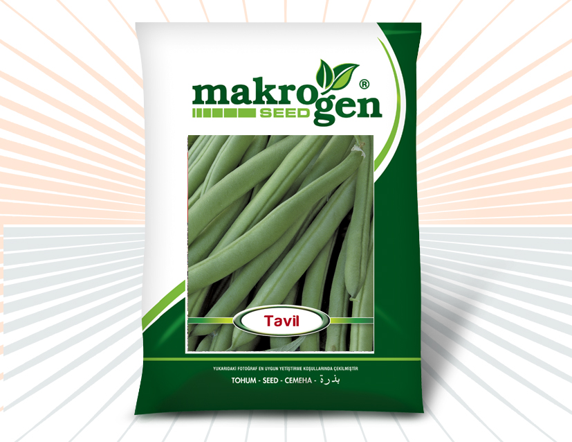 Fasulye > TAVİL