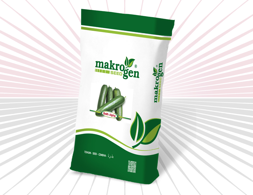 Cucumber > BEITH ALPHA F1