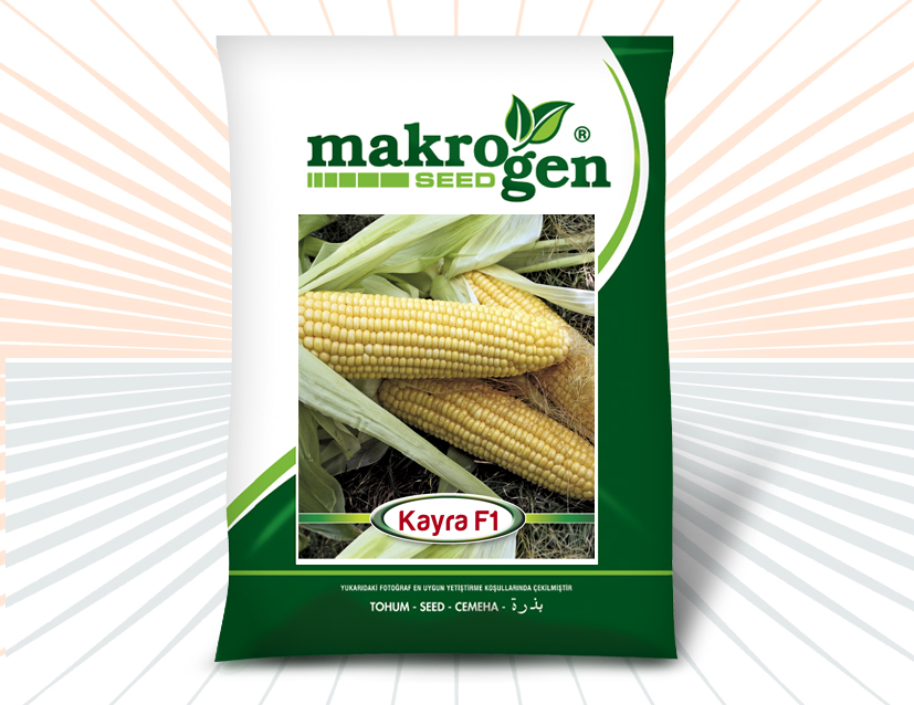 Sweet Corn > HAZAR